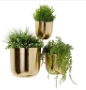 Étagère pour plante en métal Out Door